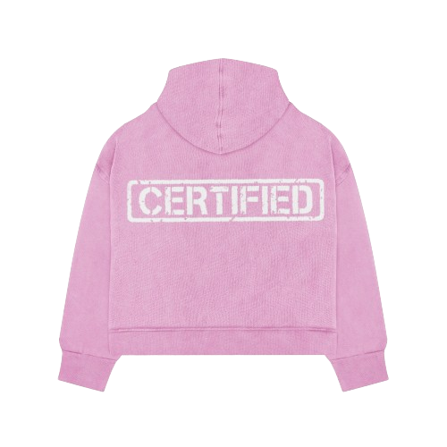 I INVESTED IN MYSELF ZIP UP HOODIE PINK (PREMADE)